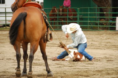 Rodeo Güney