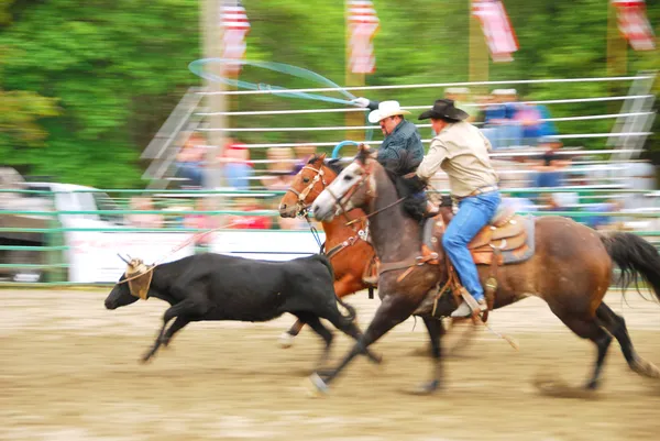 Rodeio Sul — Fotografia de Stock