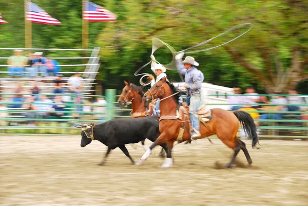 Południowa Rodeo — Zdjęcie stockowe