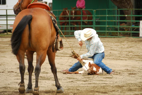 Rodeo Sur —  Fotos de Stock