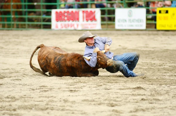 Steer Wrestling — Stock Photo, Image