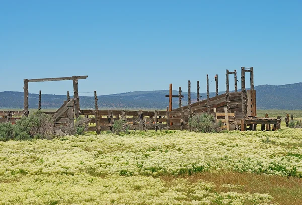 Rampa de carga — Fotografia de Stock