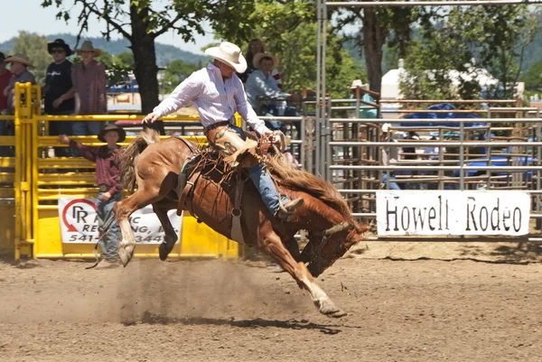 Sadeln bronc — Stockfoto