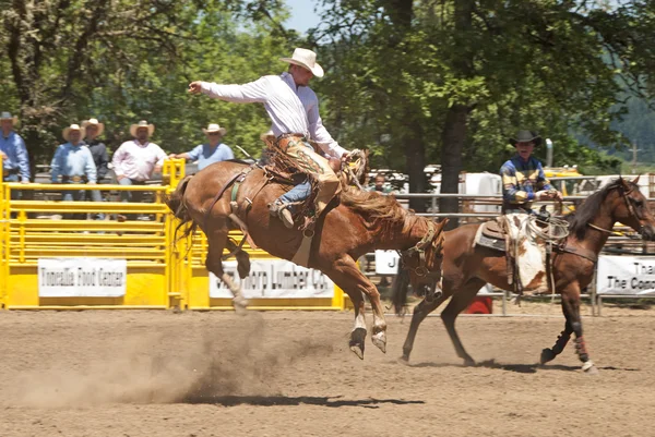 Sadeln bronc — Stockfoto