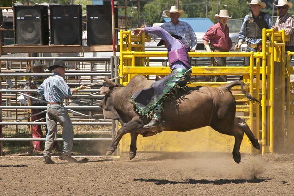 Bull Ride — Stock Photo, Image