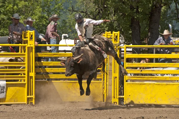 Paseo en toro —  Fotos de Stock