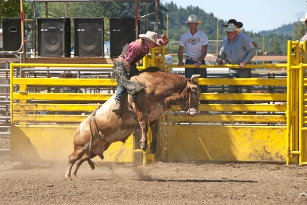 Bull Ride — Stock Photo, Image