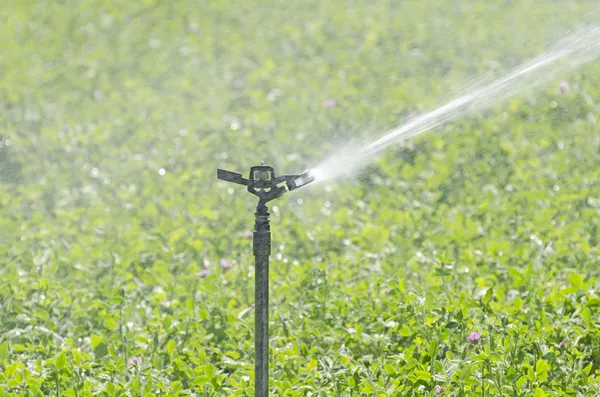 Irrigação — Fotografia de Stock