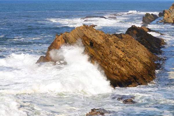 Oregon Waves — Stock Photo, Image