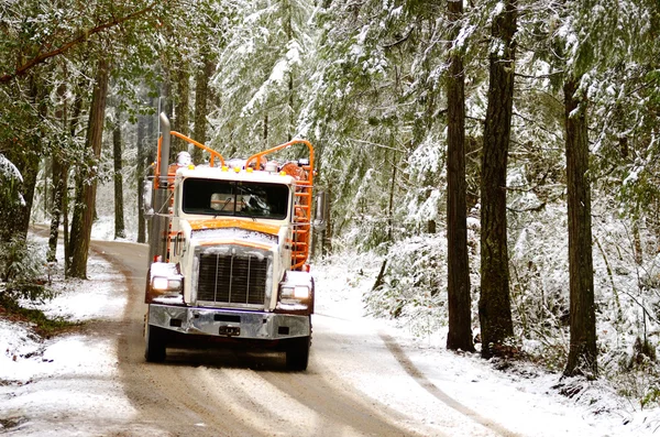 Log truck — Stockfoto