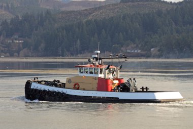 Tug tekneler