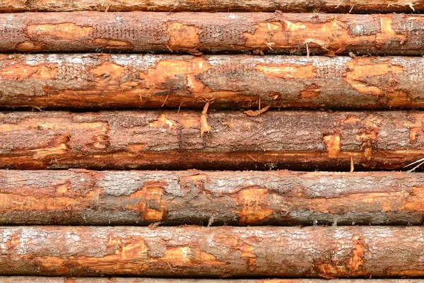 Train Logs — Stock Photo, Image