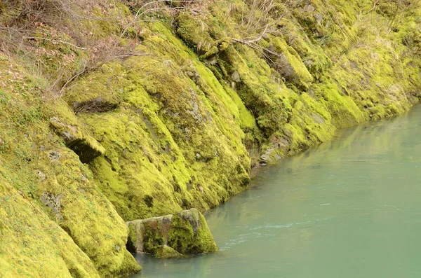 Rock Creek — Stock Photo, Image