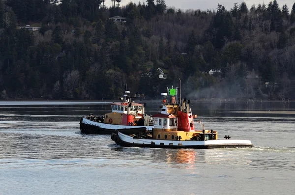 Tug tekneler — Stok fotoğraf