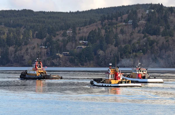 Tug Boats — Stock Photo, Image