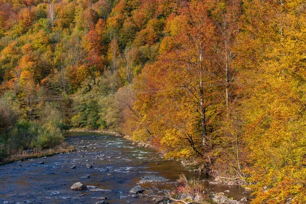 Jesienny Krajobraz Dolinie Górskiej Żółto Czerwone Drzewa Połączone Zielonymi Igłami — Zdjęcie stockowe