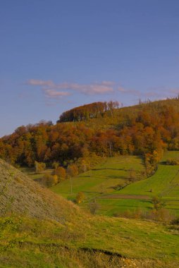 Sonbahar dağ manzarası. Sarı ve kırmızıya boyanmış sonbahar ağaçları. Yeşil iğneler ve mavi gökyüzü. Ukrayna Karpatları 'nda renkli sonbahar manzarası. 