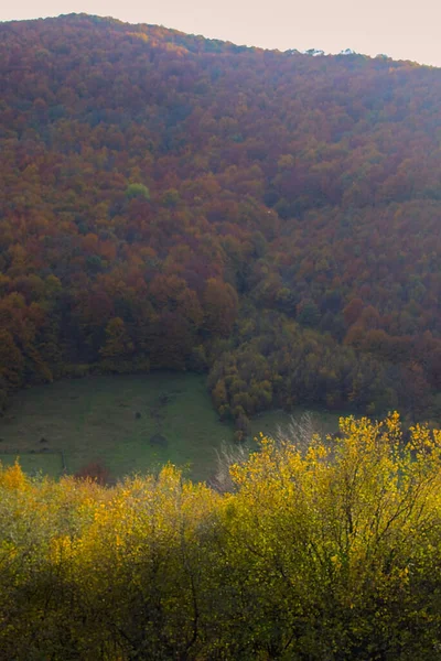 Beau Paysage Vallées Chaînes Montagnes Forêts Automne Scène Paysage Automne — Photo