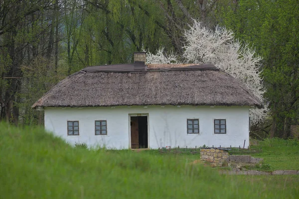 Kijów Pirogovo Ukraina Maja 2021 Tradycyjny Ukraiński Stary Dom Słomkowym — Zdjęcie stockowe