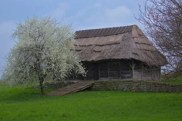 キエフ ピロゴボ ウクライナ 2021年5月2日 わら屋根と伝統的なウクライナの古い家 国家建築 暖かい春の晴れた日 — ストック写真