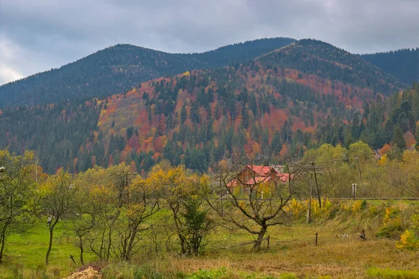 Malá Vesnice Horském Údolí Podzimní Horská Krajina Ukrajinských Karpat Žluté — Stock fotografie