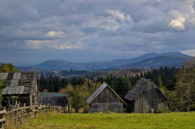 Bir dağ vadisinde küçük bir köy. Güneş ışınları gök gürültülü bulutların arasından yol alır. Ukrayna Karpatları 'nda sonbahar manzarası. Sarı ve kırmızı ağaçlar yeşil iğnelerle birleşmiş..