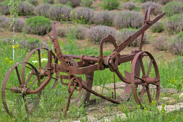 El tarlası için klasik tarım ekipmanları. Bessarabian köyünde klasik dekorasyon. 20. yüzyılın başlarında kullanılan metal bir alet. Odessa Oblast, Ukrayna.