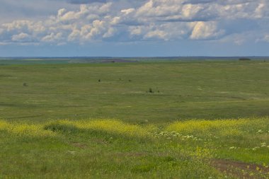 Bahar bozkırlarının sonsuz genişlikleri. Bozkır ovasından uzak ufuklar. Çiçekli çimenli tarlanın üstündeki gökyüzü. Resimli kırsal alan. Doğal halı. Odessa bölgesi, Ukrayna.