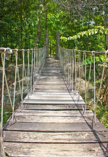 Touwbrug door het bos — Stockfoto