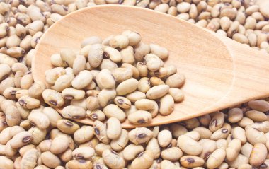 tahta kaşık ile kızartılmış soya.