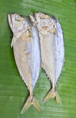 mackerels yeşil muz yaprağı.