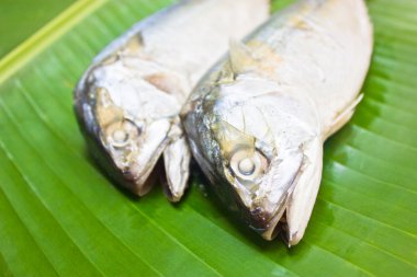 mackerels yeşil muz yaprağı.