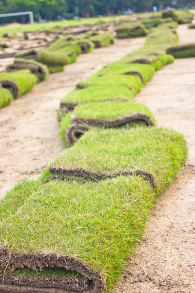 Rolos de grama verde, em andamento . — Fotografia de Stock