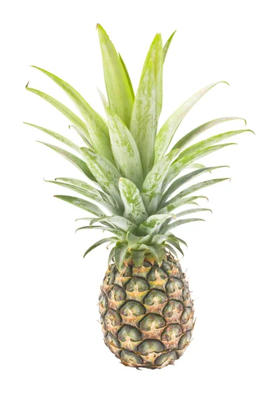 Ananas isolerad på vit bakgrund. — Stockfoto