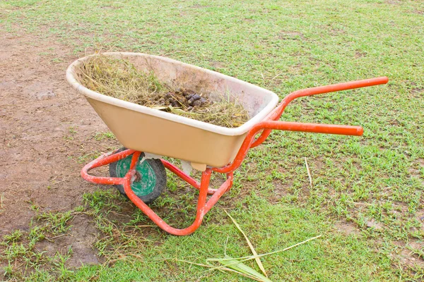 Horse manure in trolley. — Stock Photo, Image