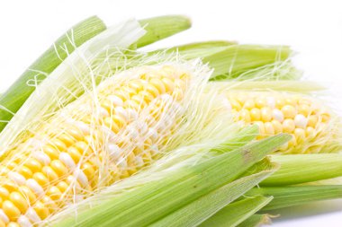 Close up of sweetcorn. clipart