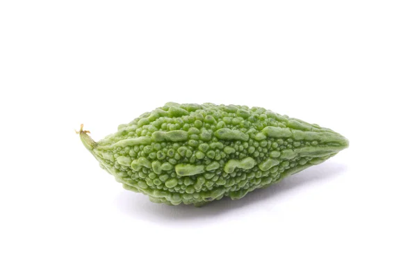 Pepino amargo, planta herbal aislada sobre fondo blanco . — Foto de Stock