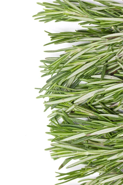 Rosemary herbal frame. — Stock Photo, Image