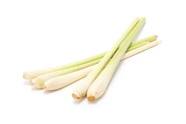 Bundle of lemongrass isolated on white background. — Stock Photo, Image