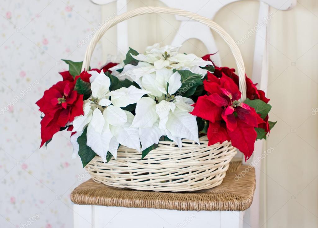 Christmas flowers with basket on the chair.