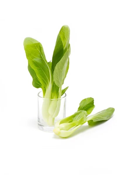 Fresh green bok choi — Stock Photo, Image