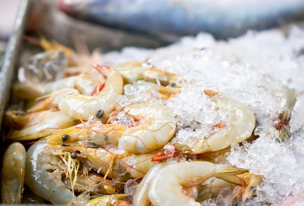 Gamberetti freschi con ghiaccio . — Foto Stock