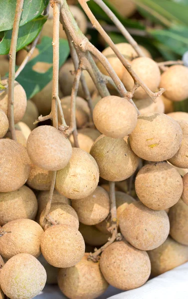 Bando de longan . — Fotografia de Stock