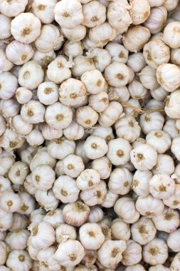 sarımsak içinde çarşı.