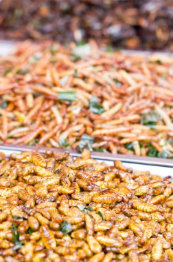 Kızarmış ipek solucanlar.