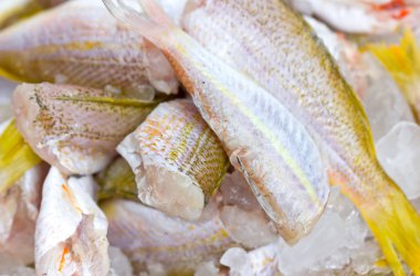 süslü threadfin buz ile balık çipura.