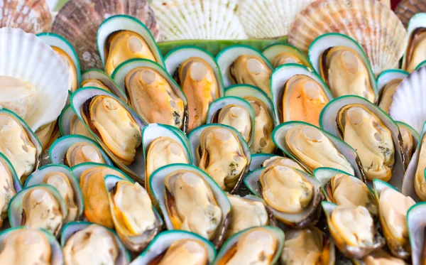 Asian green mussel. — Stock Photo, Image