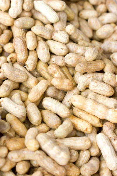 Boiled peanuts. — Stock Photo, Image