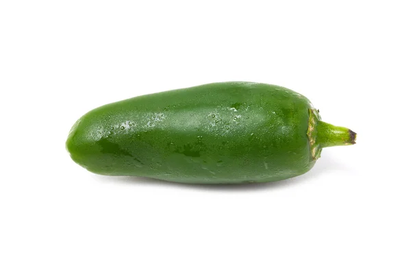 Одиночный зелёный перец — стоковое фото