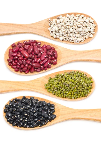 Job's tears, Kidney, Mung and Black beans — Stock Photo, Image